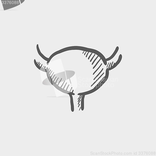 Image of Uterus, ovaries sketch icon