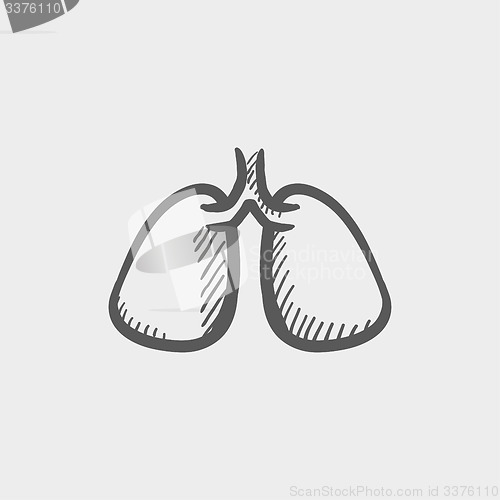 Image of Lungs sketch icon