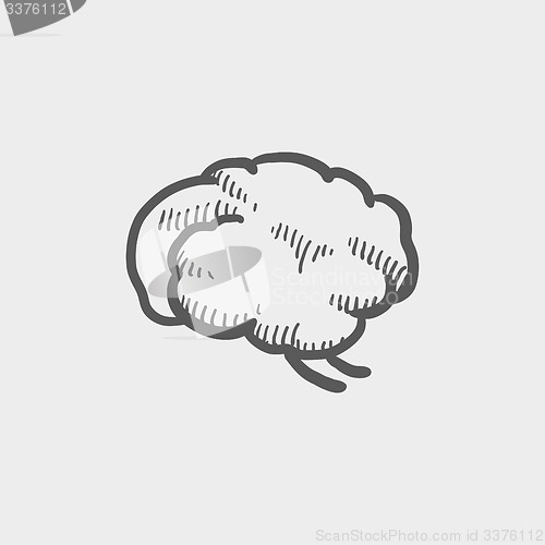 Image of Human brain sketch icon