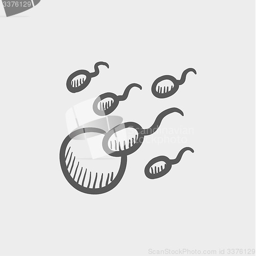 Image of Sperm and egg cells sketch icon