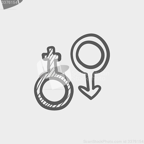 Image of Male and female symbol sketch icon