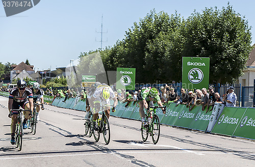 Image of The Sprint - Tour de France 2015