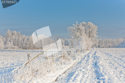Image of Winter landscape with trees snow wrapped and road