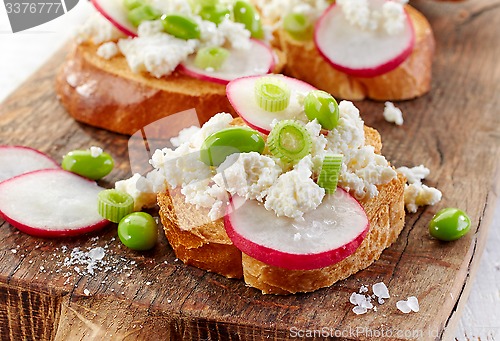 Image of toasted bread with radish and cottage cheese
