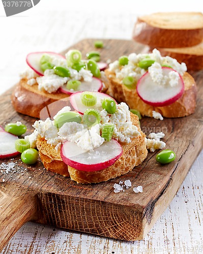 Image of toasted bread with radish and cottage cheese