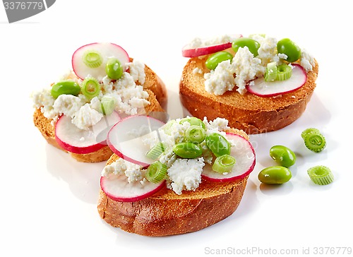 Image of toasted bread with radish and cottage cheese