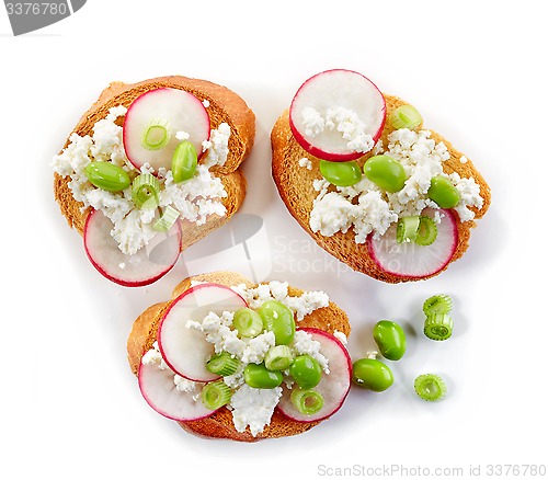 Image of toasted bread with radish and cottage cheese