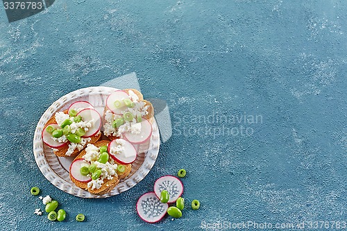 Image of toasted bread with radish and cottage cheese