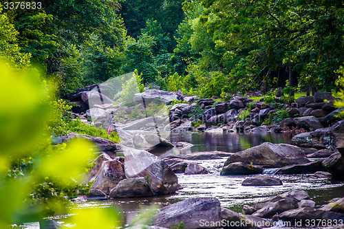 Image of broad river flowing through wooded forest