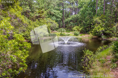 Image of hunting island beach scenes 