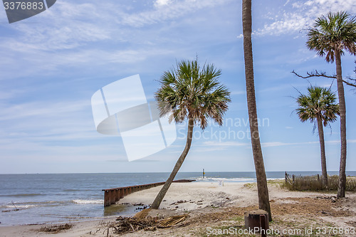 Image of hunting island beach scenes 