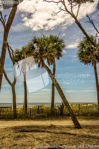 Image of hunting island beach scenes 