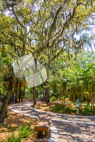 Image of board walk scenes at hilton head georgia