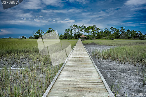 Image of hunting island beach scenes 