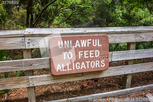 Image of hunting island beach scenes 