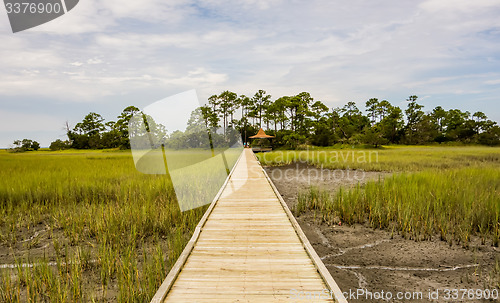 Image of hunting island beach scenes 