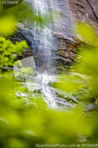 Image of hickory nut waterfalls during daylight summer