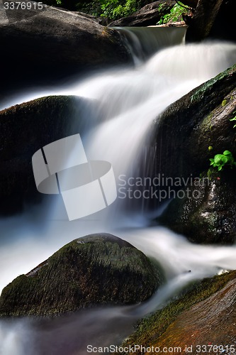 Image of broad river flowing through wooded forest