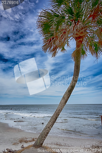 Image of hunting island beach scenes 