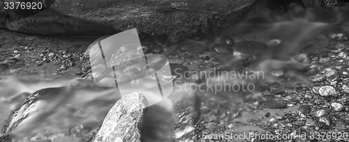 Image of broad river flowing through wooded forest