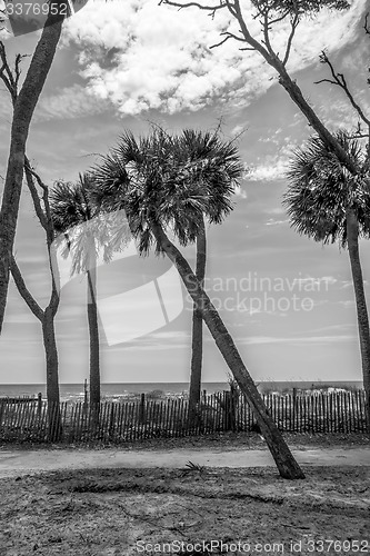 Image of hunting island beach scenes 