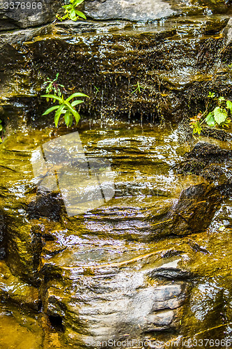 Image of hickory nut waterfalls during daylight summer