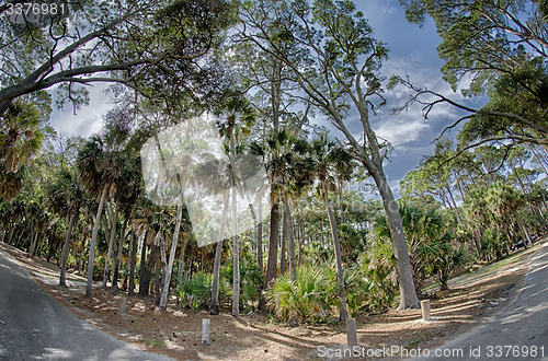 Image of beach scenes at hunting island south carolina