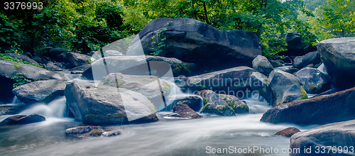 Image of broad river flowing through wooded forest