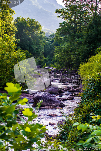 Image of broad river flowing through wooded forest