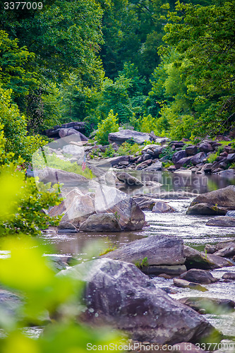 Image of broad river flowing through wooded forest