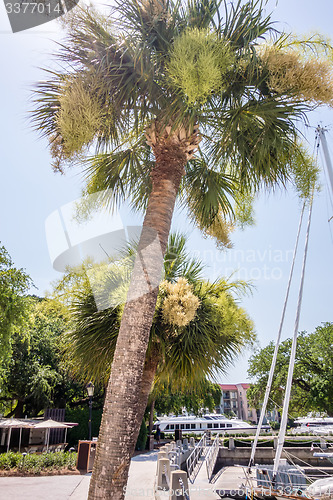 Image of boats in harbour town of south beach hilton head