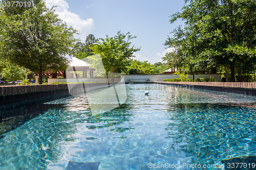 Image of compass rose park in hilton head georgia