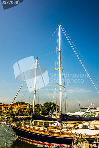 Image of boats in harbour town of south beach hilton head