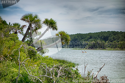 Image of hunting island beach scenes 