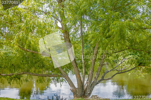 Image of lake lure and chimney rock landscapes