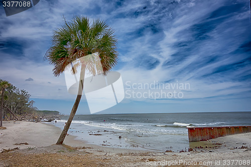 Image of hunting island beach scenes 