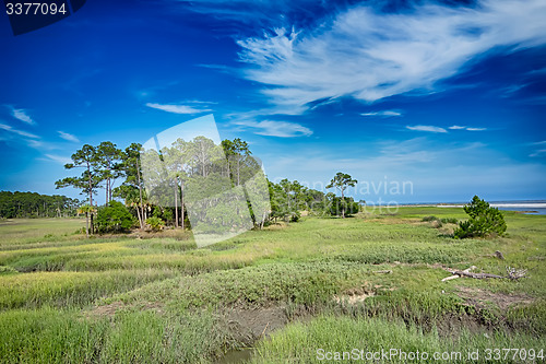 Image of hunting island beach scenes 