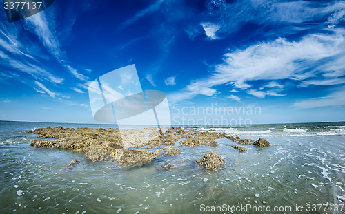 Image of beach scenes at hunting island south carolina