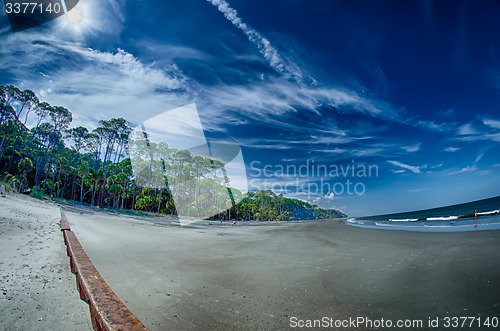 Image of beach scenes at hunting island south carolina