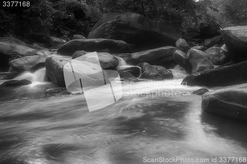 Image of broad river flowing through wooded forest