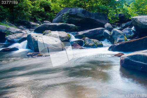 Image of broad river flowing through wooded forest