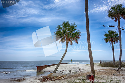 Image of hunting island beach scenes 