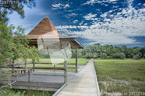 Image of hunting island beach scenes 