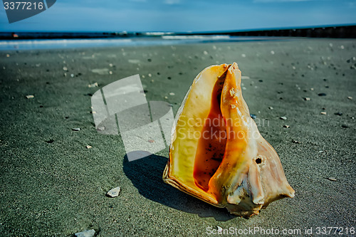 Image of hunting island beach scenes 