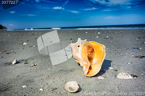 Image of hunting island beach scenes 