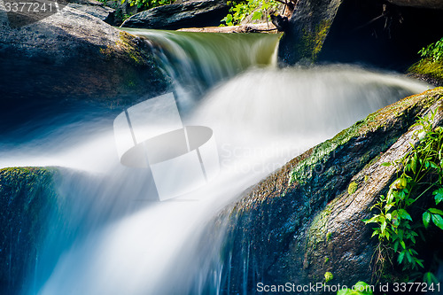 Image of broad river flowing through wooded forest