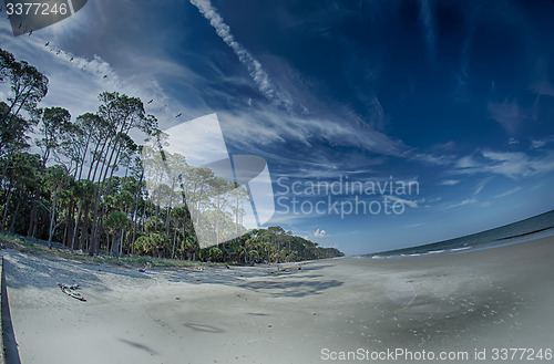 Image of beach scenes at hunting island south carolina