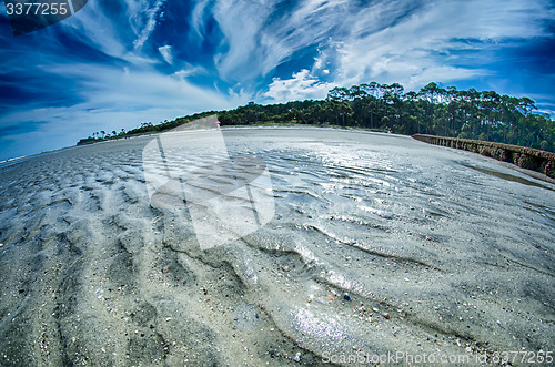Image of beach scenes at hunting island south carolina