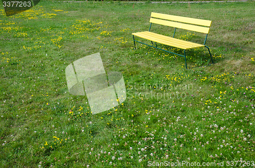 Image of The Yellow Bench