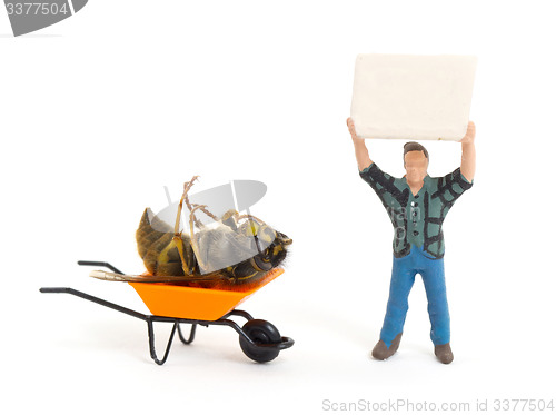 Image of Dead wasp in a miniature wheelbarrow